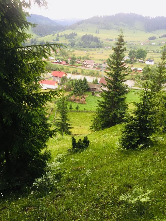 Hotel Casa Carmen Dorna Arini Zewnętrze zdjęcie